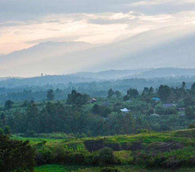 Vzorový itinerář – Uganda: gorily a safari (12 dní)