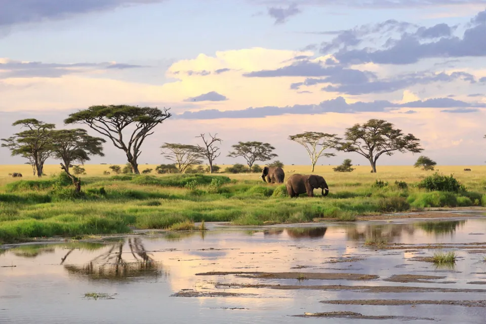 Tanzanie a Zanzibar