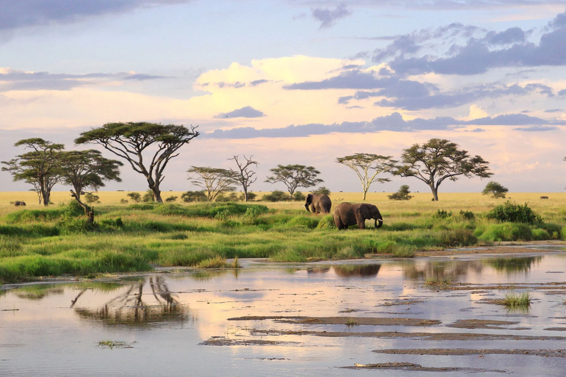 Tanzanie a Zanzibar