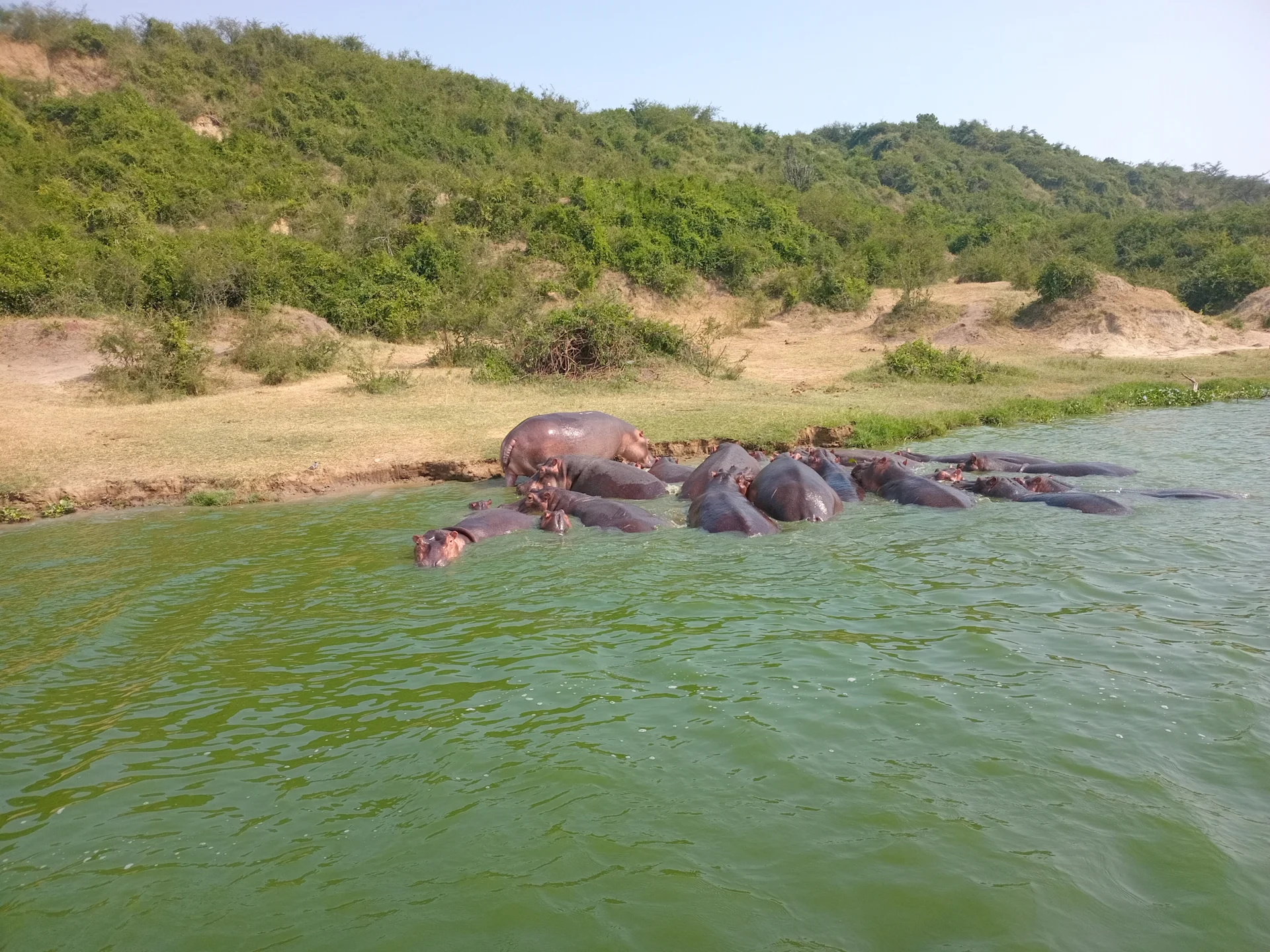 Vzorový itinerář – Uganda: gorily a safari (12 dní)