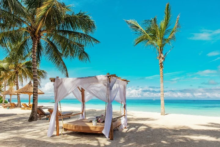 Vzorový itinerář – Tanzanie a Zanzibar (12 dní)