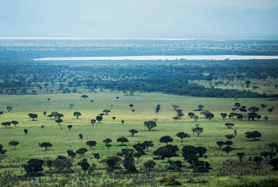 Vzorový itinerář – Uganda: gorily a safari (12 dní)