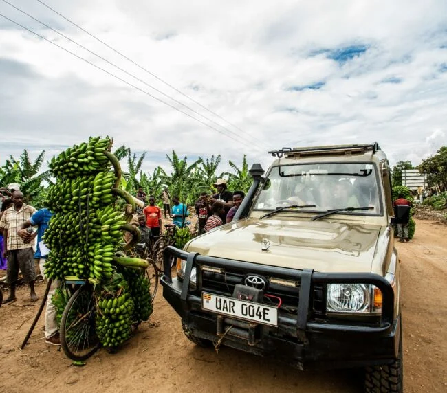 Vzorový itinerář – Uganda: gorily a safari (12 dní)
