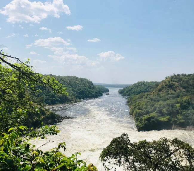 Vzorový itinerář – Uganda: gorily a safari (12 dní)