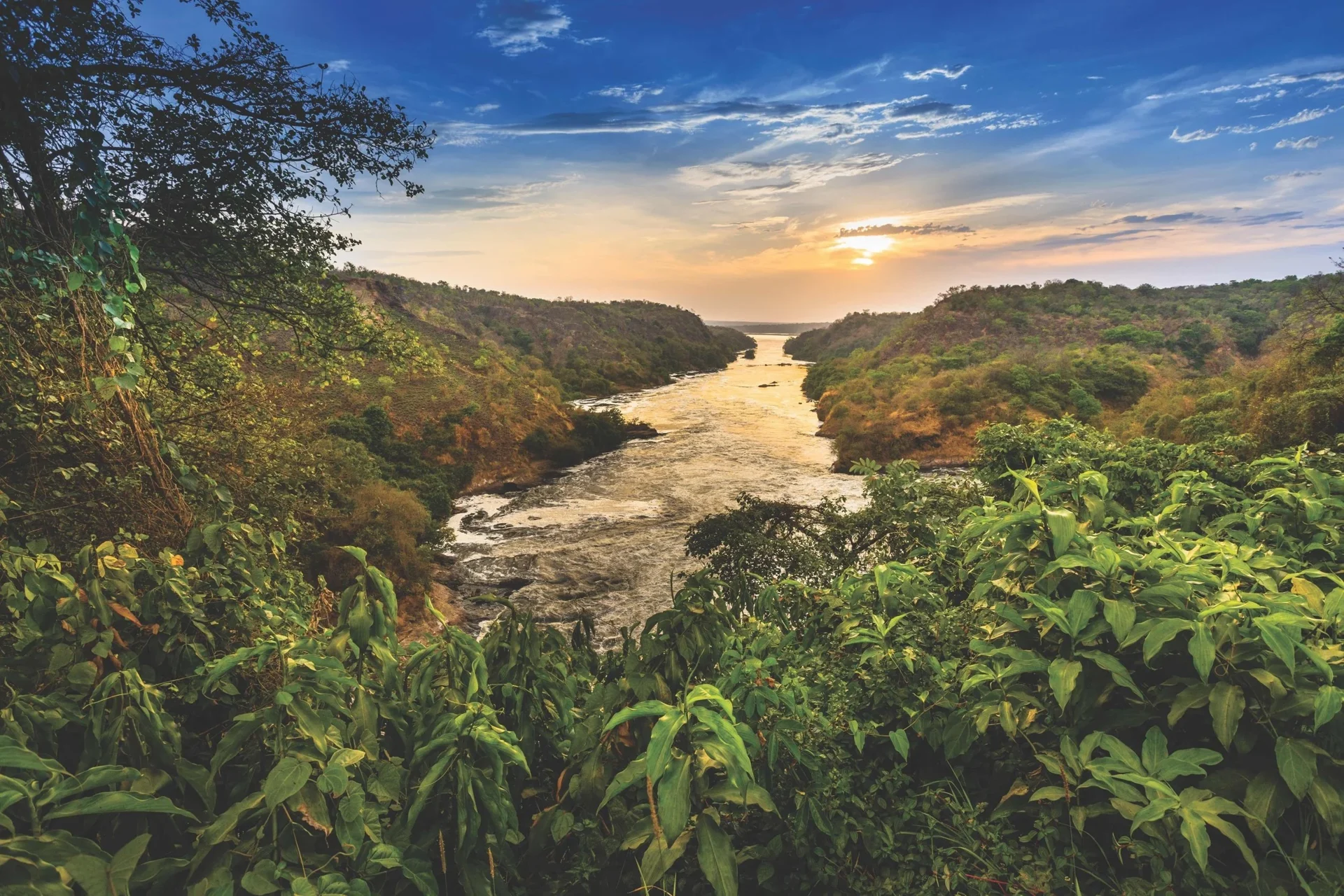 Vzorový itinerář – Uganda: gorily a safari (12 dní)