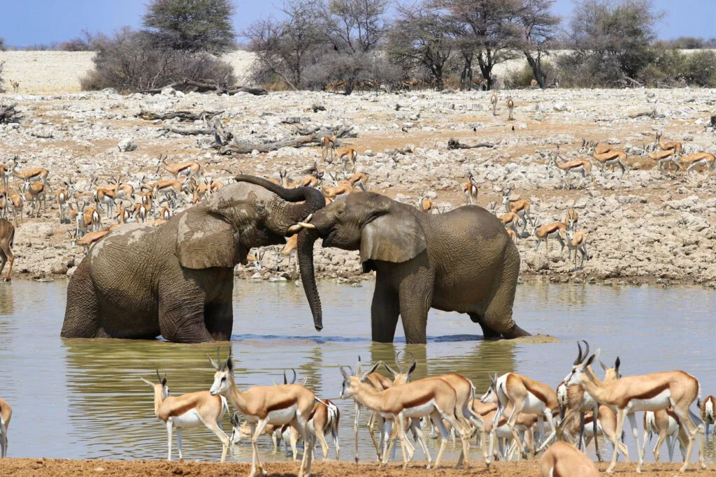 Namibie