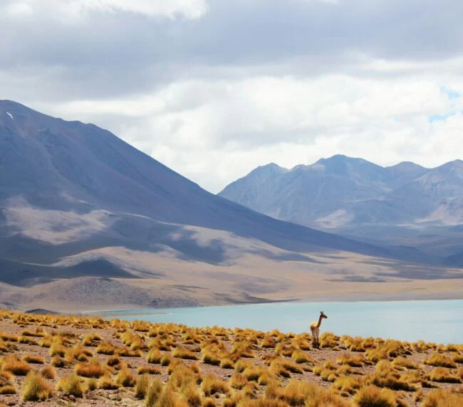 Vzorový itinerář – Chile