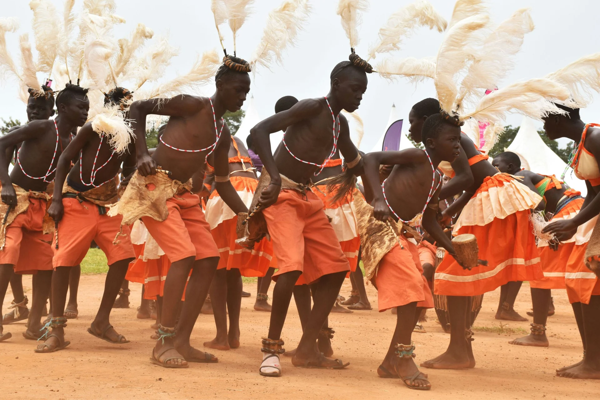 Vzorový itinerář – Uganda: gorily a safari (12 dní)