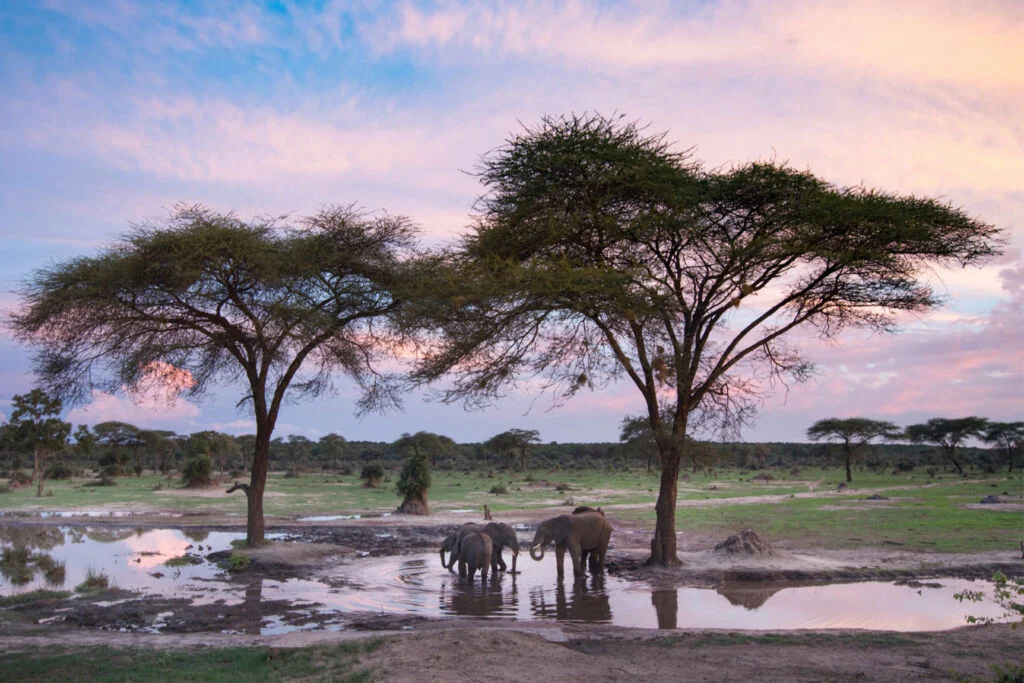 Zimbabwe