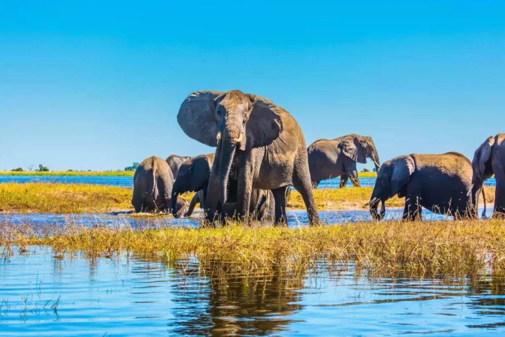 Botswana