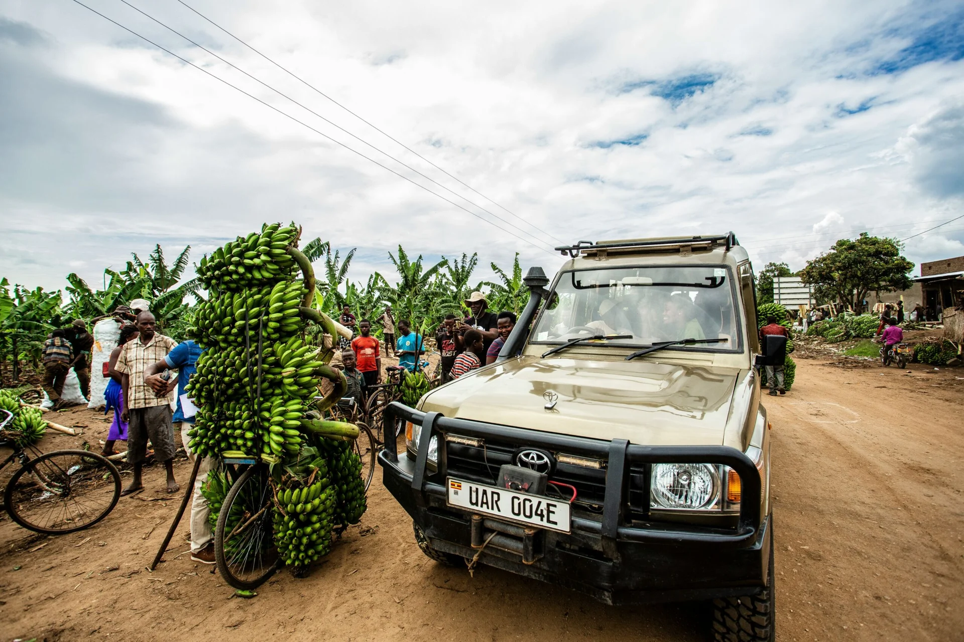 Vzorový itinerář – Uganda: gorily a safari (12 dní)