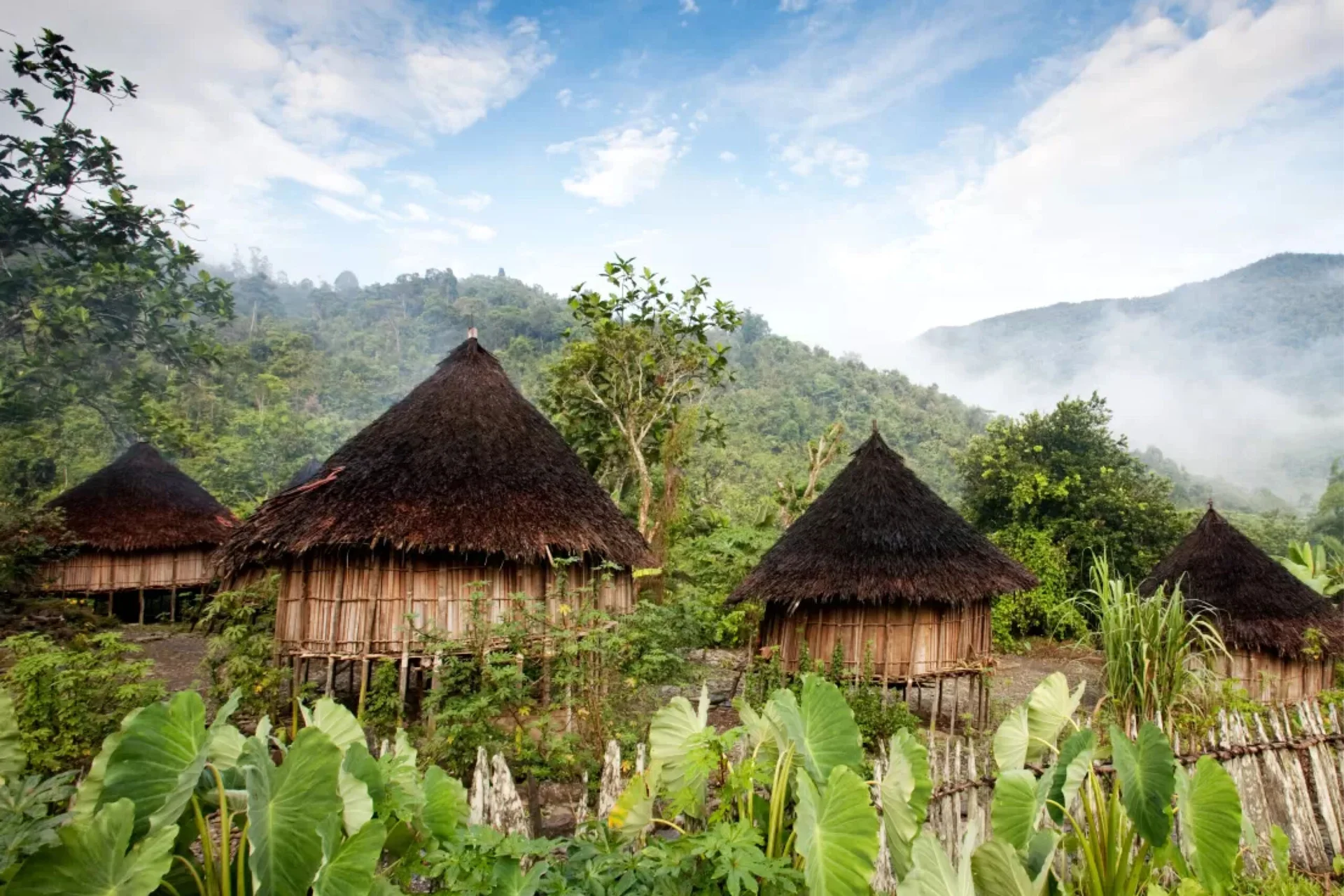 Papua Nová Guinea