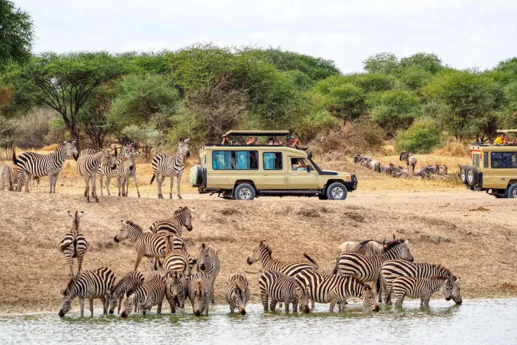 Tanzanie a Zanzibar