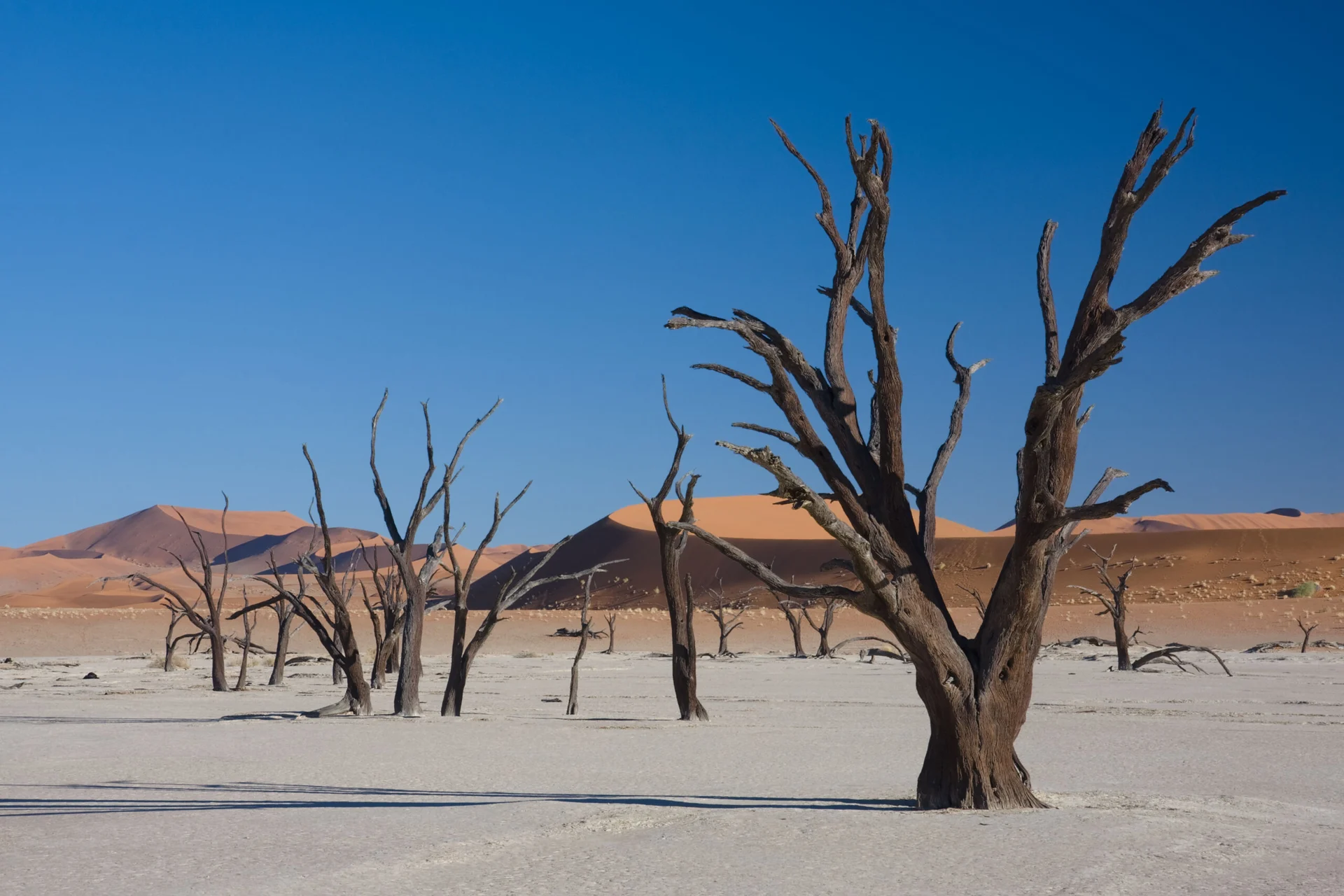 Namibie