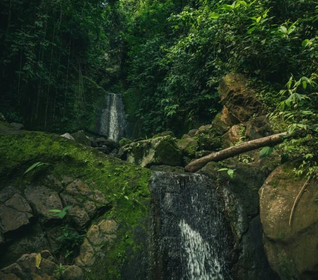 Vzorový itinerář – Amazonie