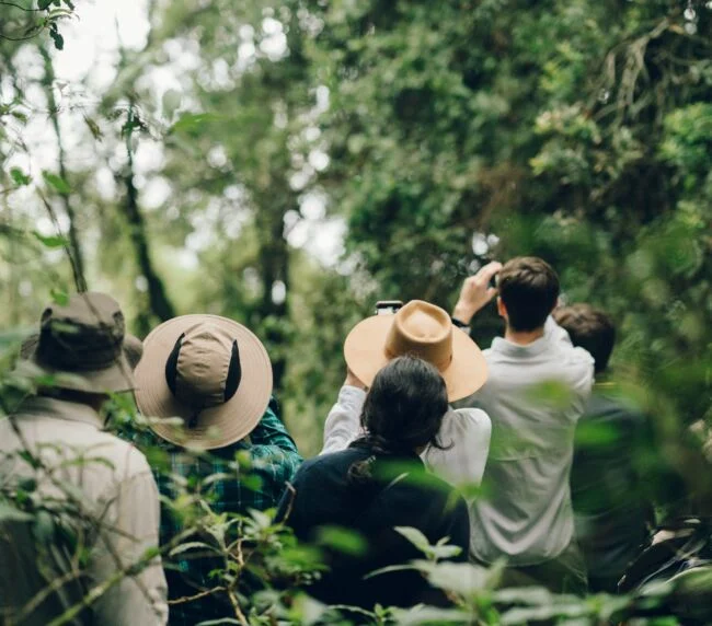 Vzorový itinerář – Uganda: gorily a safari (12 dní)